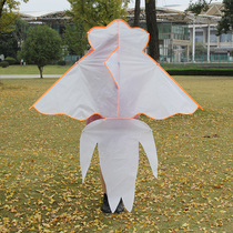 1 5 Rice White goldfish hand painting children coloring graffiti diy hand homemade material coloring blank kite