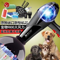 Pet Shop Bragger Hair God Instrumental Speed Dry Integrated Bath Special High Power Pet Dog Large Dog Pooch Hair Dryer