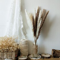 Dried flowers Real flowers in the living room Dried flowers bouquet mixed flowers and plants Coffee table Dining table ornaments light luxury living room high-end