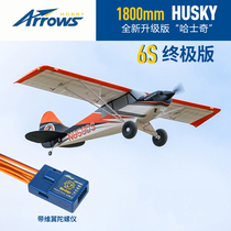Blue Arrow 1 8m Husky Ultimate Edition Large Size Assembly Image Real Entry Remote Control Model Fixed Wing Electric Aircraft