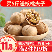 Walnut thin skin for pregnant women Special original Xinjiang specialty 5kg 2020 new products thin shell 2021 paper large walnut
