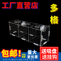 Acrylic aquarium isolation box aquarium breeding box Peacock crystal shrimp golden wave delivery room with cover
