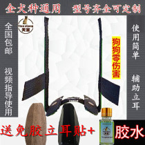 Dubin Black Wolf Despatch Coyote Wolf Blue Shepherd Pet Peppy Ears Straightener pooch Erect Ear Stent