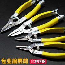 Round forest scissors Fruit tree pruning scissors flower cutting Orchard Orchard citrus small fruit cutting grapes