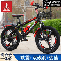 Phoenix childrens bicycle 8-1014 years old male and female primary and secondary school students big children 182022 inch disc brake variable speed mountain bike