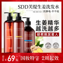SDD Futi ginger anti-hair hair shampoo dense hair control oil anti-itching anti-static strong hair roots