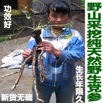 New goods pure natural wild party ginseng 500g super-grade sulfur-free soil pattern Lushang party thick old thick root