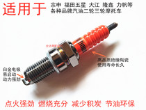 Zongshen Futian five-star three-wheeled motorcycle parts spark plug 110 125 150 200 250 fire nozzle