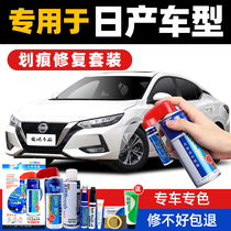 Dedicated Nissan 14th generation Sylphy Tiida Xiaoke Qike Qijun Teana Pearl Pearl White Hyun Yabao Stone Black Paint Pen