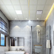 Melkite integrated ceiling kitchen LED light toilet high core lighting recessed gusset energy saving flat light