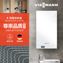 Germany Fiisman original imported first-class energy efficiency natural gas condensing furnace B1JD35kw dual-purpose floor heating radiator