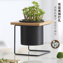  Fleshy creative flower pot personality new ceramic Nordic simple wrought iron wooden frame office desktop small pot