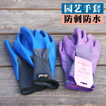 Gardening gloves Stab-resistant waterproof planting flower pulling grass breathable protection wear-resistant anti-slip anti-tie multifunctional labor protection gloves