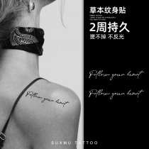 Su Xiaomu Plant Tattoo Sticker English Tattoo Pattern Follow Your Heart Waterproof Long Lasting Female Sticker