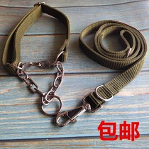 Pet dog leash dog chain p chain imported nylon competition training dog large and small dog border cattle