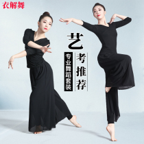 Dance suit suit suit female body training suit Chinese dance dance pants loose pants classical dance wide leg pants