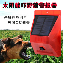 Solar outdoor dog barking beast artifact light control night interval alarm light high volume strong light Scare Pig