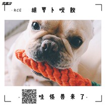 Pet molar cotton rope carrot bite rope dog training to solve the boring selling cute toys bite resistant dirt dog sleeping toys