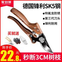 Japan imported sk5 branch grafting flower stainless steel special green pruning garden art scissors household