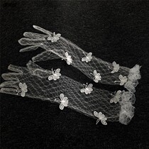 Girl simple lace white butterfly net gauze fashion wear accessories gloves long wedding bride Photo Studio