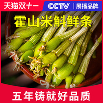 Huoshan Dendrobium fresh bar official flagship store Dendrobium health tea Huoshan Dendrobium officinale Chinese herbal medicine 500g