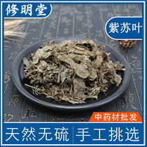 Chinese Herbal Medicine Medicinal Perilla leaves 50g Dried Su Cotyledons ZSY Herbal Shop