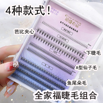 Type A False Eyelash Fairy Natural Emulation Single Tuft Grafted Fish Tail Barbie Sandwich With Up And Down Eyelash Mixing Clothing