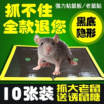 Mouse board super strong glue Post RAT Board strong occupy sticky mouse version powerful big Zhang catch stick mouse artifact paste thick