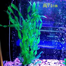 The simulation of aquatic plants in the fish tank Seaweed live in the fish tank The aquatic plants in the fish tank are underwater