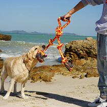 Grinding stick dog large dog dog tooth cleaning stick tooth stone tooth stone edge animal Samoye Labrador golden hair