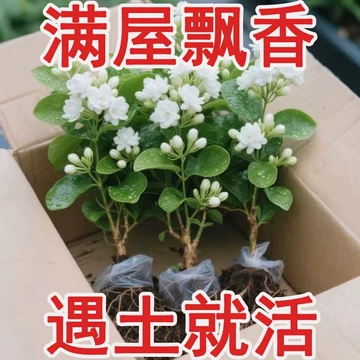 天然盆景花玉石工艺品-天然盆景花玉石工艺品促销价格、天然盆景花玉石
