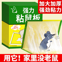 Mouse stickers strong sticky mouse board household super strong glue to catch big mice a nest end thickened mouse trap artifact