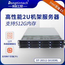 2U rack server DT-26512-SX10DRL 512G 12 pan to strong high storage server host
