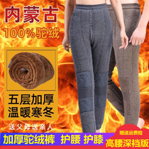 Cotton pants male winter gush thickened camel woman high waist large size loose northeast middle aged wool warm kneecap