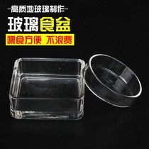 Suwan Crystal Shrimp Feeding Basin Glass Shrimp Climbing feeding tray Ornamental Snail Ornamental Shrimp Feeding Basin Feeding Aerial Shrimp Basin