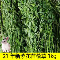 21 Years New Grass Clover Grass Rabbit Food Young Rabbit Food Dry Grass Dragon Cat Dutch Pig Guinea Pig Herd Rabbit Feed