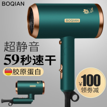 Hair salon hair dryer Household barber shop special high-power hot and cold air net red negative ion hair care silent hair dryer