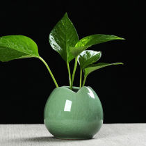 Creative ceramic vase decoration Living room flower arrangement Green dill water Peige kiln small vase Office desk decoration small fresh