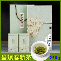 Tea 2021 New Tea Biluochun Green Tea Green Green Fragrant High-end Gift Gift Gift Boxes 250g