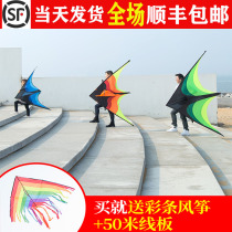 Shunfeng Weifang kite children Prairie triangle kite breeze easy to fly large 2021 New Kite