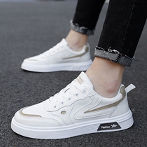 X0ANTA0C Men Shoes 2022 New Summer Breathable Thin Leather Shoes Men Sports Casual Board Shoes Low Help Small White Shoes