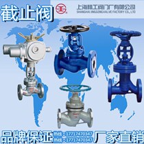 Shanghai Seiko Valve Stainless Cast Steel Globe Valve J41H Flange to Clamp Thread Liquefied Natural Gas Ammonia Steam