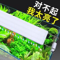 Small diving light LED light spotlight clip light decorative light super bright light increase lighting colorful fish tank waterproof