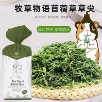  Forage story ALFALFA GRASS tip 300G RABBIT Guinea PIG CHINCHILLA Dutch PIG Guinea PIG RABBIT grass food forage