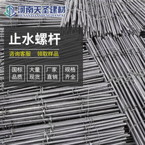 Tiansheng factory direct sales construction water stop waterproof through wall to pull screw rod m14 double-head extended Bolt
