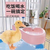 Duck Feeder Food Basin Hanging Pet Cole Duck Anti-Stomp Rabbit with a small Chicken Eat Bowl Automatic Drinker