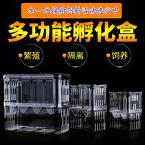 Acrylic fish tank isolation box special large number of pneumatic spawning hatchbox Peacock fish breeding box maternity small fish fry