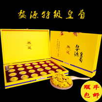 Wuyuan Imperial Chrysanthemum Xiaoqi gift box one cup one super heat-clearing tribute chrysanthemum Jiangxi Huangling dry gold silk yellow chrysanthemum flower tea