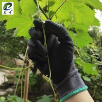 Finger Pepper artifact picking pepper special pinching anti-scratch mulberry leaf picker picking pepper glove thumb knife 20