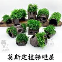 Small spawning small fish fish tank ornaments multi-hole avoidance craft decoration large simulation viewing